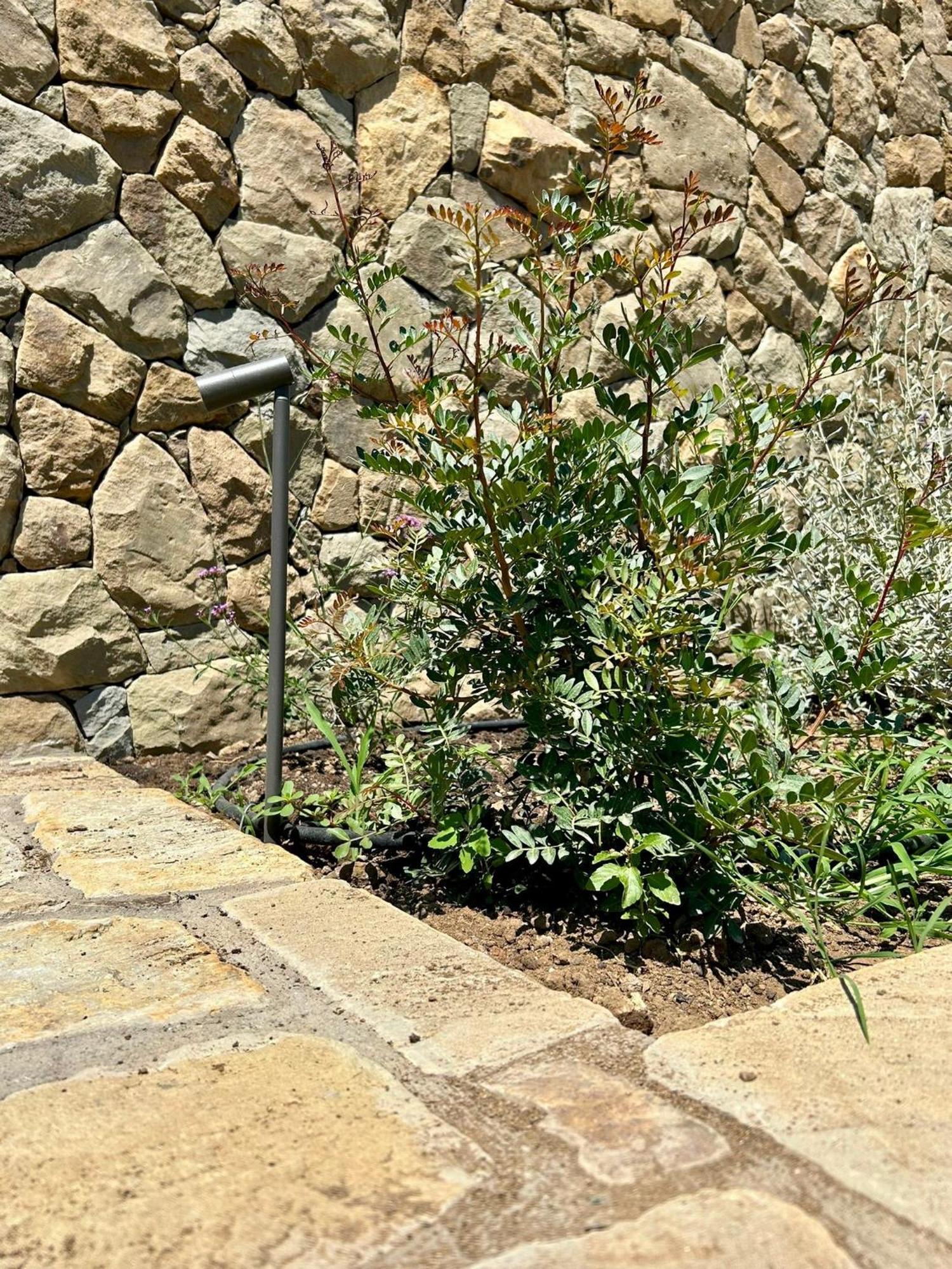 Nostos Casale Panzió SantʼAgata sui Due Golfi Kültér fotó